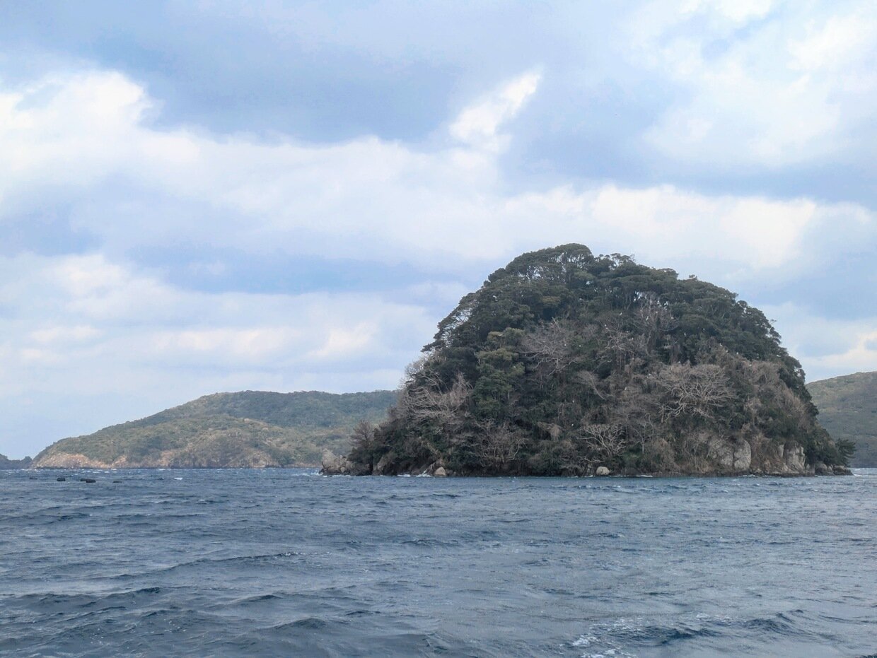 PXL_20250318_014745384.jpg