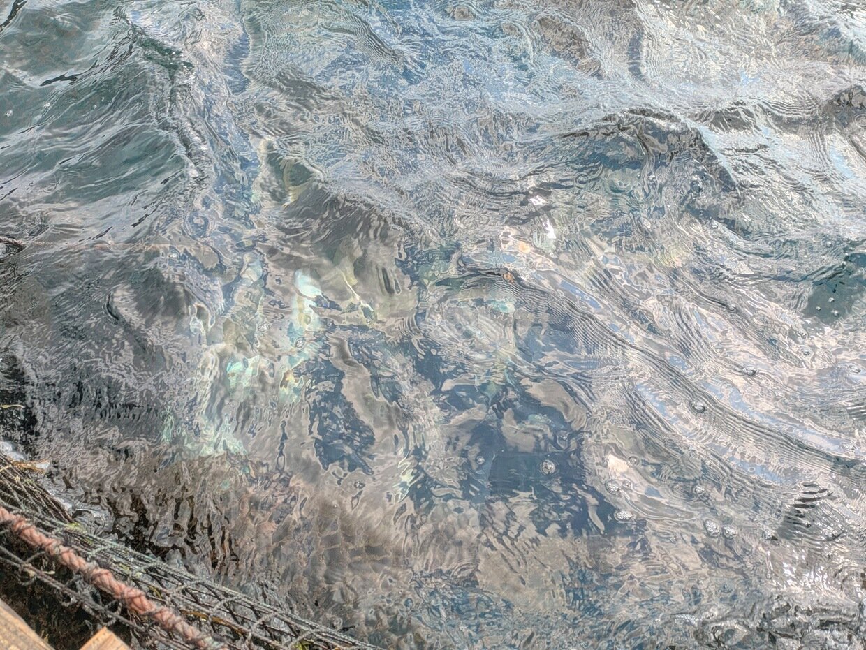 PXL_20250318_015144834.jpg