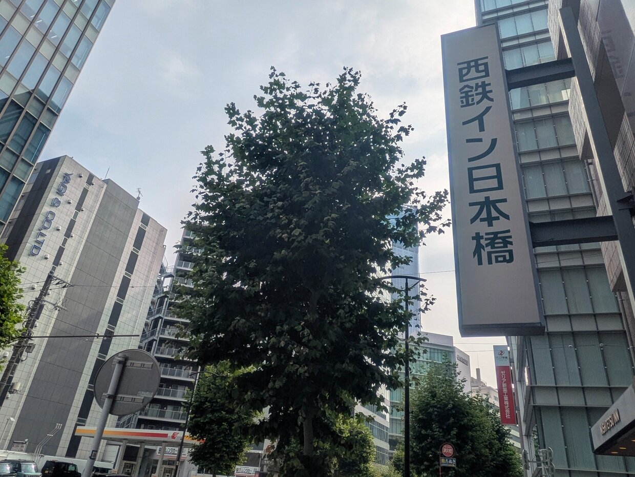 PXL_20250707_062130846.jpg