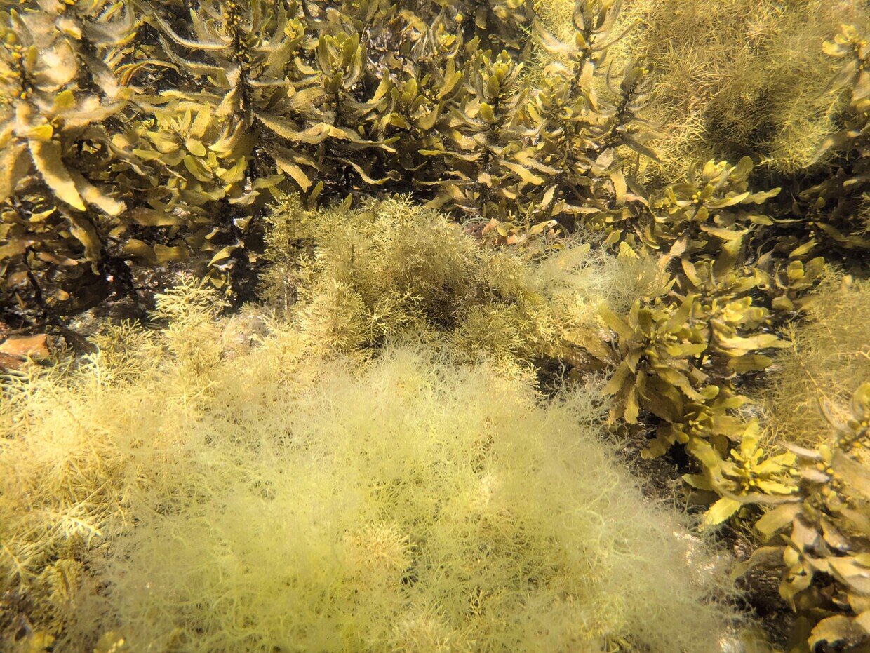 PXL_20250728_011847587~2.jpg