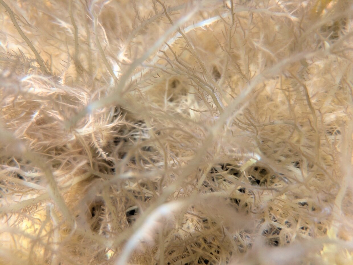PXL_20250728_012210883.jpg