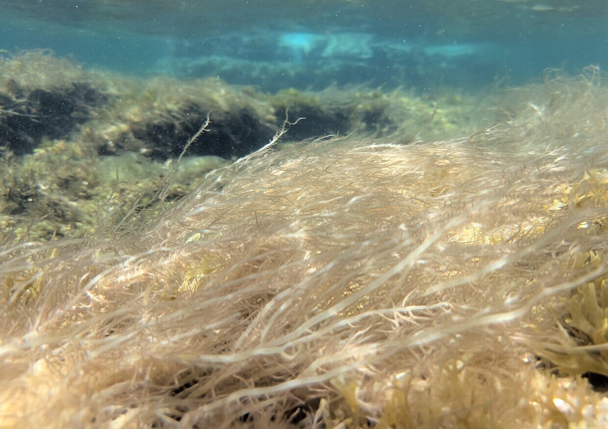 PXL_20250728_012211886~2.jpg