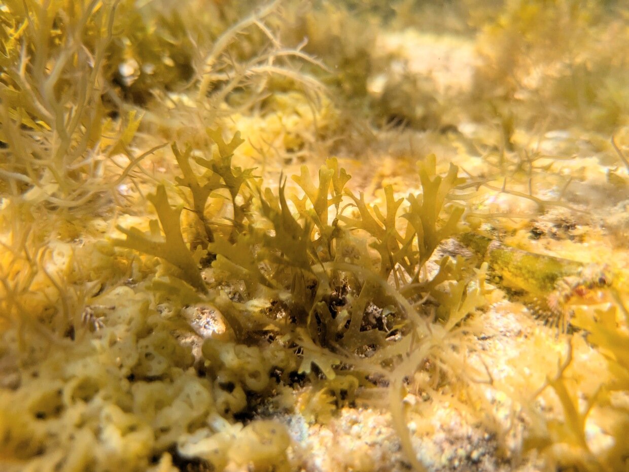 PXL_20250728_012602384.jpg