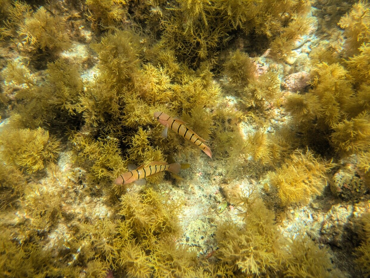 PXL_20250728_012731125.jpg