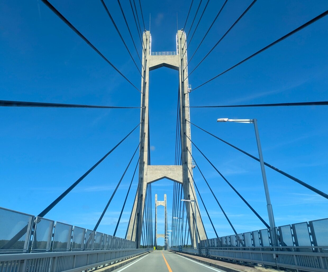 PXL_20250728_061408068.jpg
