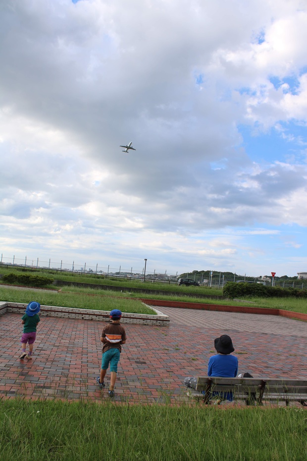 aahikomiIMG_3428.jpg