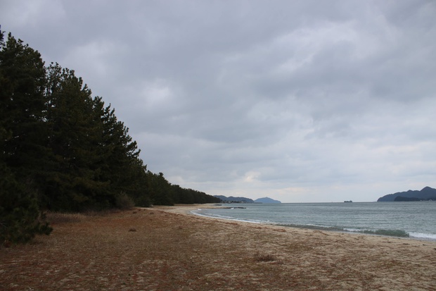 am629.jpg