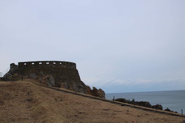 asgzkIMG_3380.jpg
