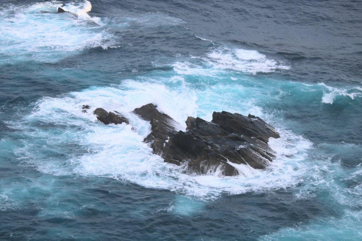 IMG_4872.jpg