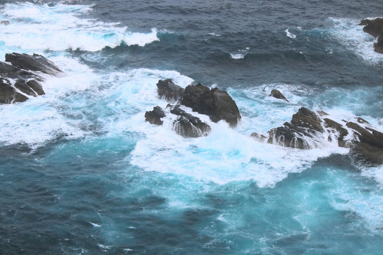IMG_4875.jpg