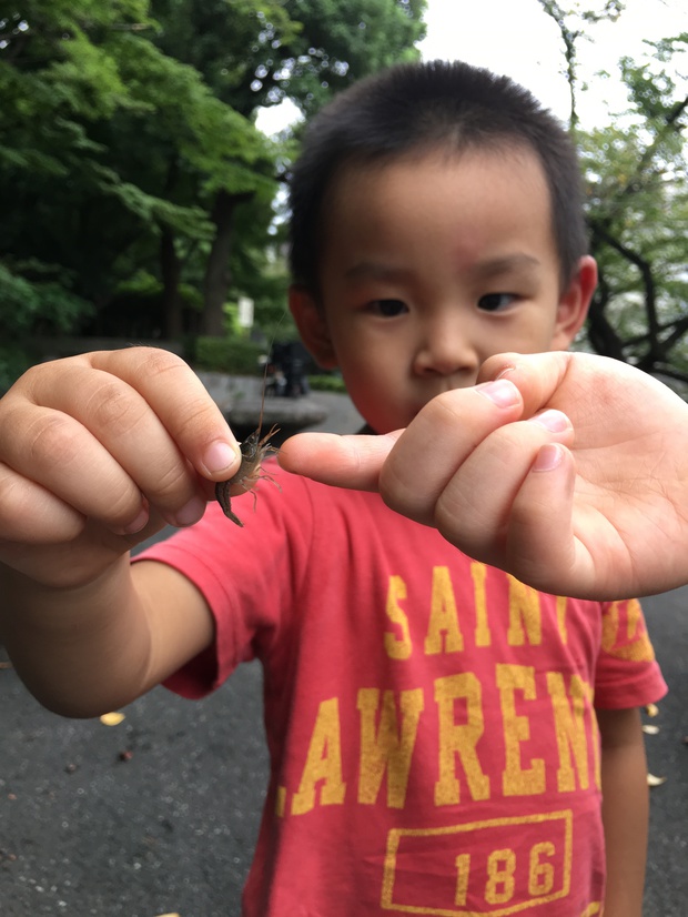 ebiIMG_7188.jpg