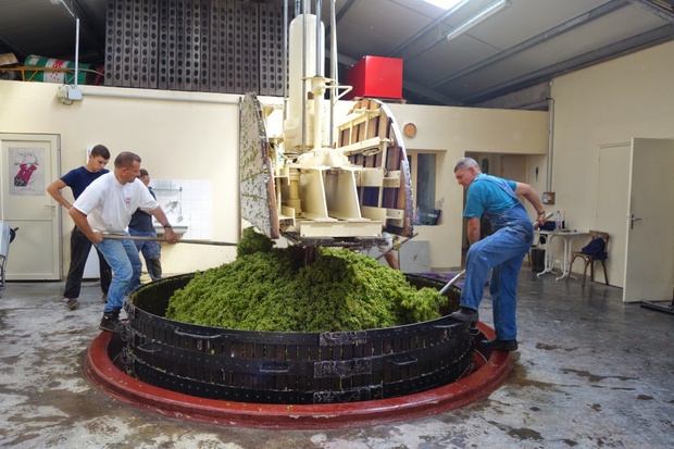 emmanuel lassaigne domaine jacques lassaigne harvest montgueux grape press.jpg