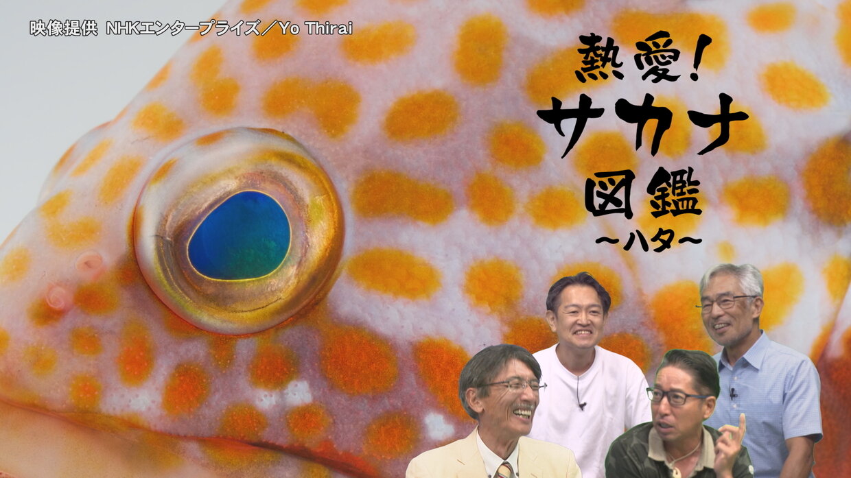 epg002_hata.jpg