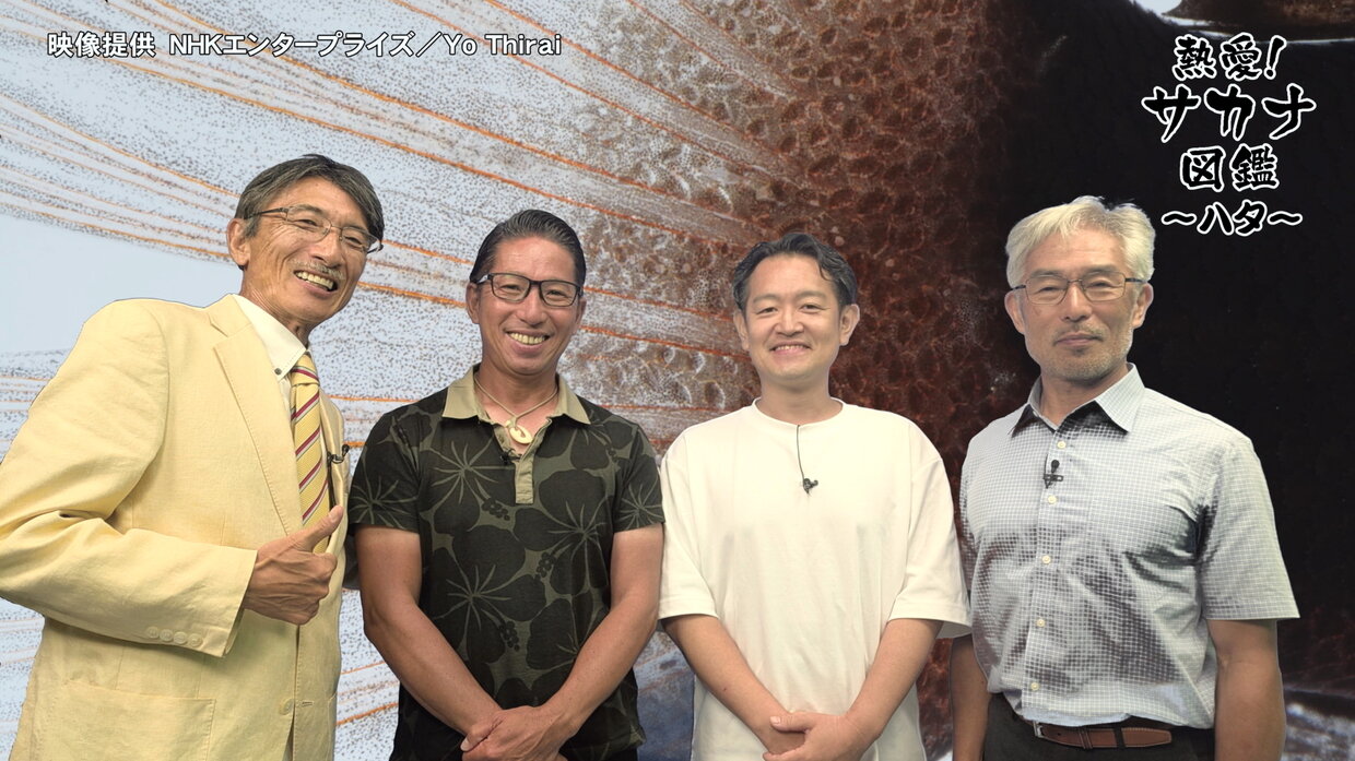 epg003_hata.jpg