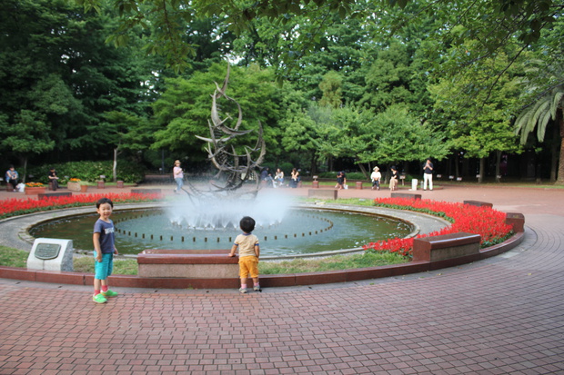 hibiIMG_3027.jpg
