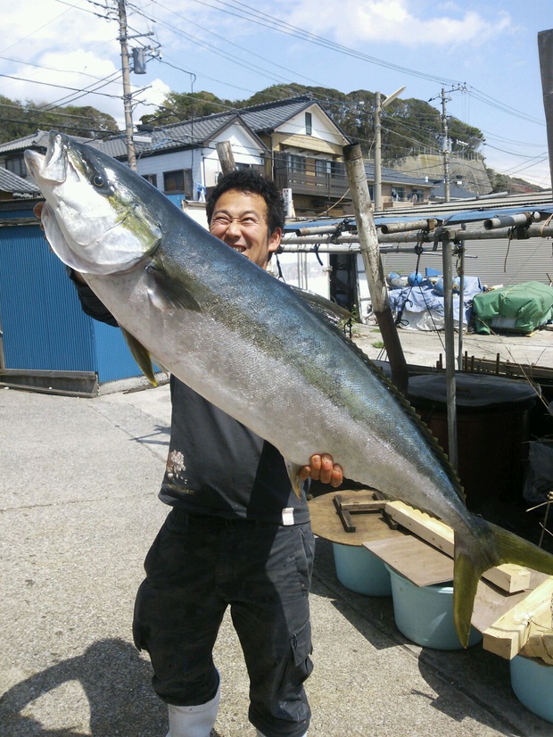 hiramasa21.6kg.jpg