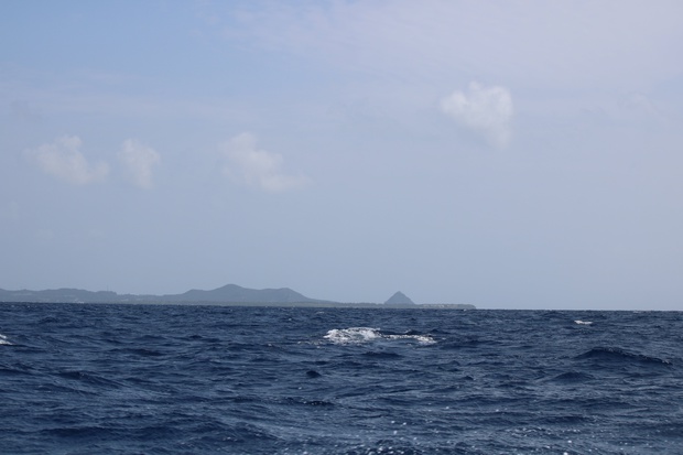 hoeIMG_8573.jpg