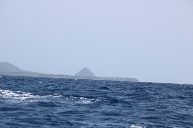 hoeIMG_8574.jpg