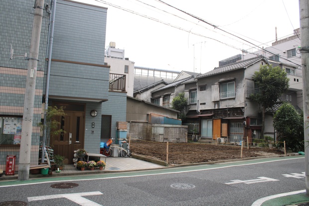 kakinokiIMG_0447.jpg