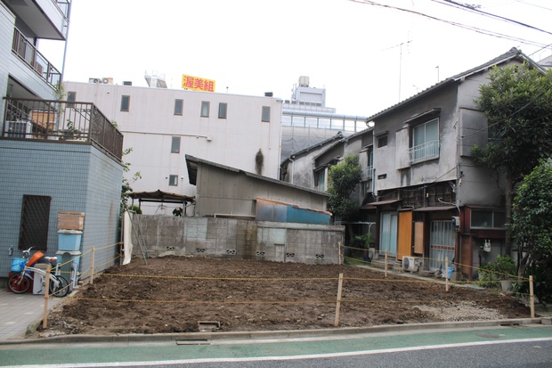 kakinokiIMG_0449.jpg