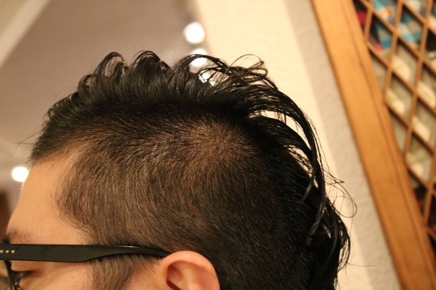 kamigataIMG_9507.jpg