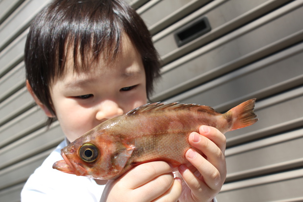 kanaIMG_1623.jpg