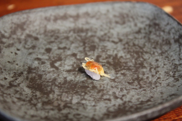 kaniIMG_4658.jpg