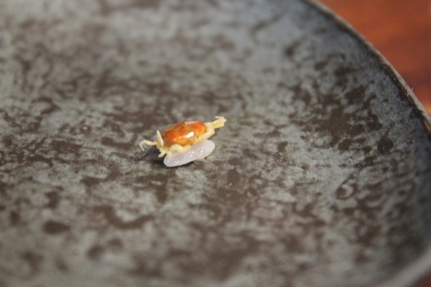 kaniIMG_4661.jpg
