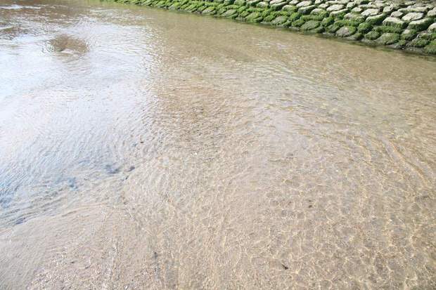 kawaIMG_0607.jpg