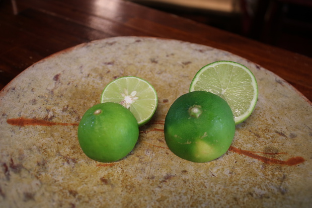 limeIMG_6682.jpg