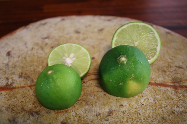 limeIMG_6683.jpg