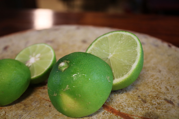 limeIMG_6684.jpg