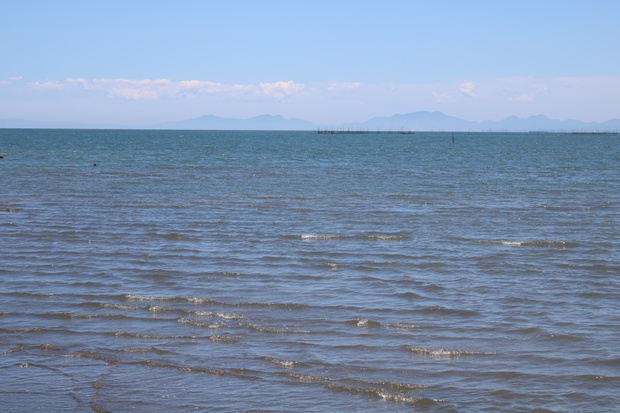 mateIMG_1113.jpg