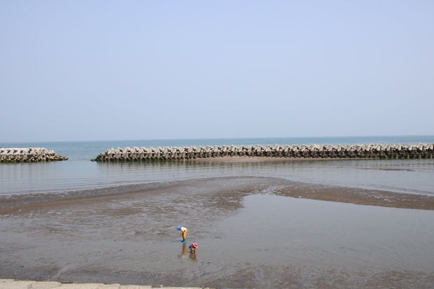 matehoIMG_8230.jpg