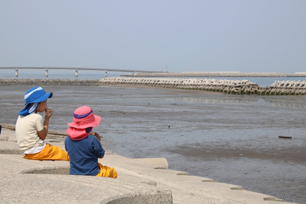 matehoIMG_8232.jpg