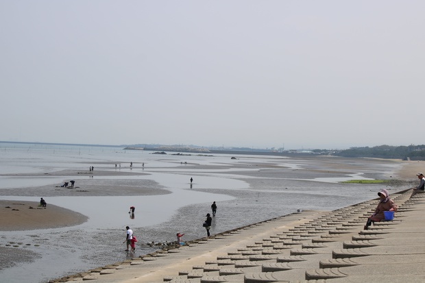 matehoIMG_8235.jpg
