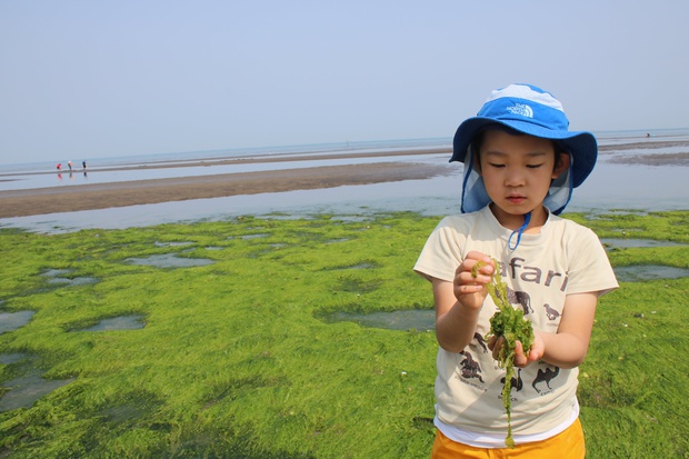 matehoIMG_8240.jpg