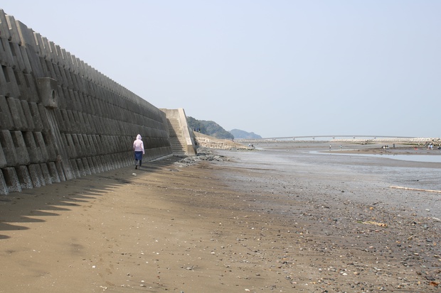 matehoIMG_8242.jpg