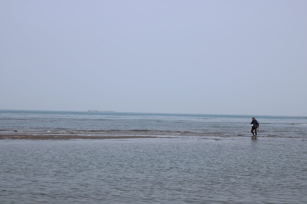 matehoIMG_8247.jpg
