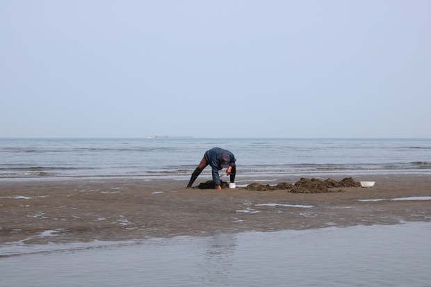 matehoIMG_8249.jpg
