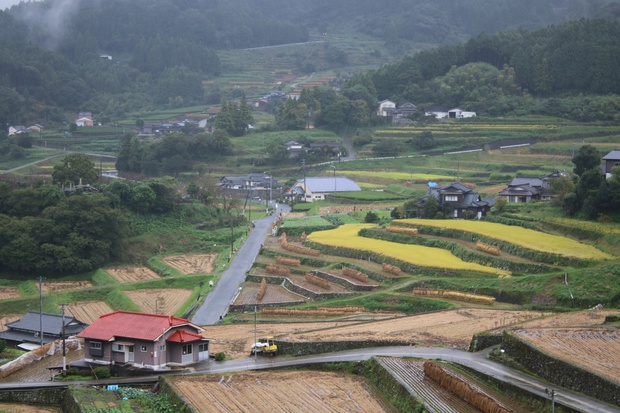 onitaIMG_4154.jpg