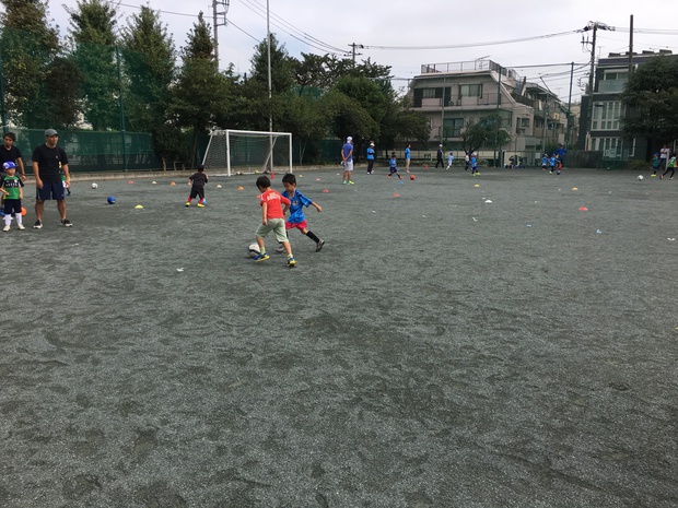 sacIMG_7615.jpg