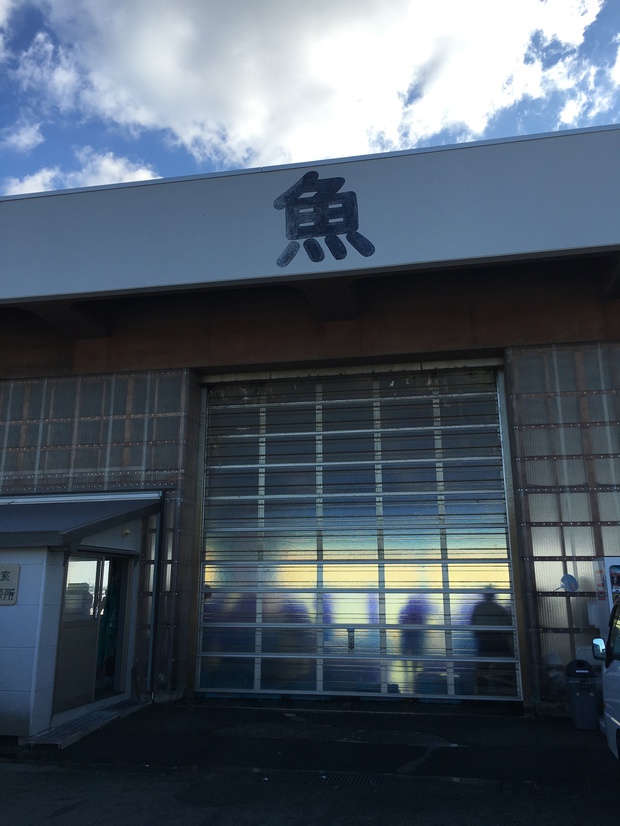 sakanaIMG_4133.jpg