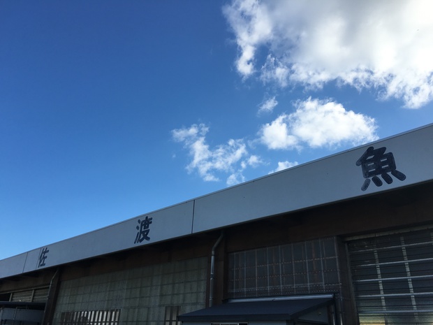 sakanaIMG_4134.jpg