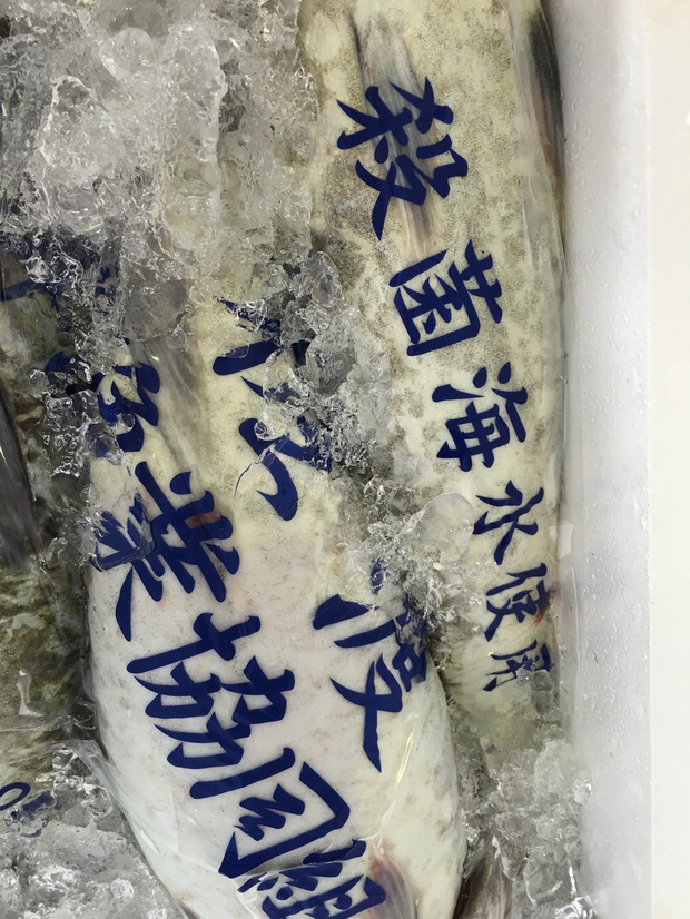 sakanaIMG_4157.jpg