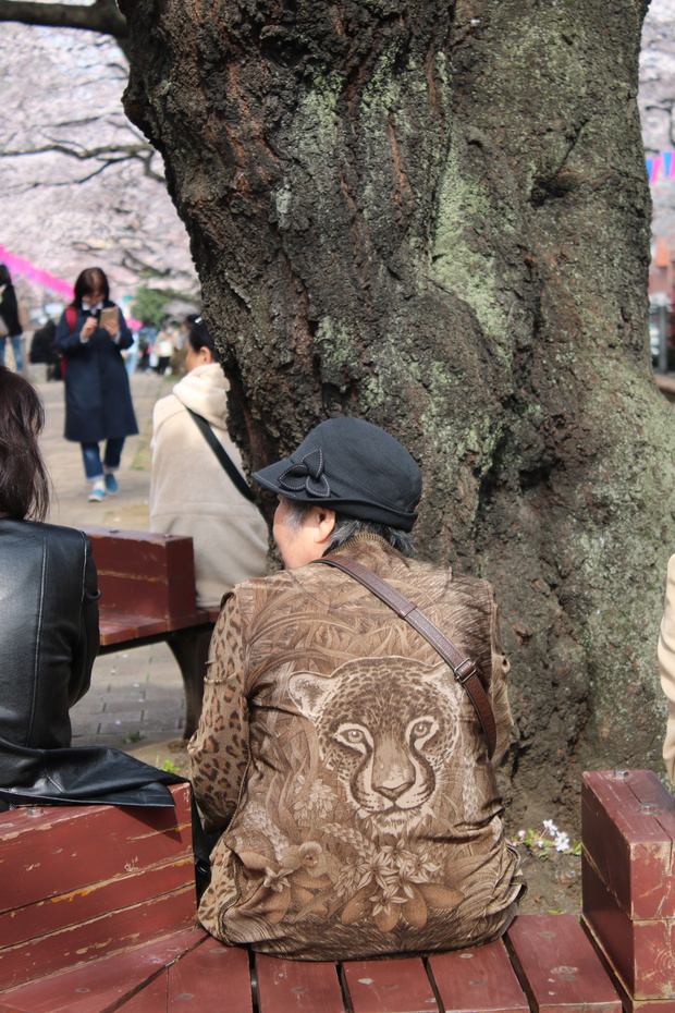 sakuraIMG_2294.jpg