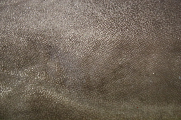 sameIMG_8274.jpg