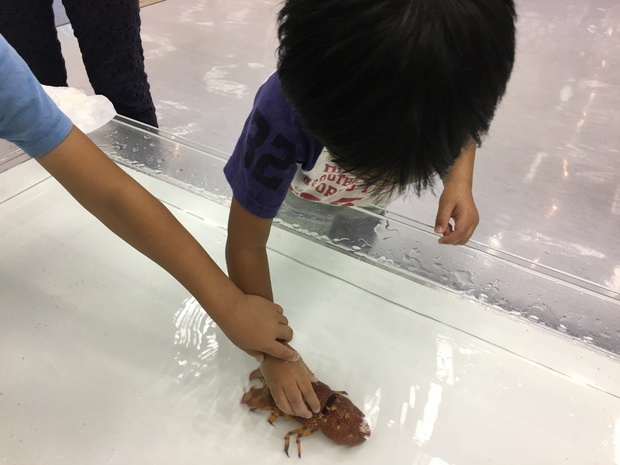 semiIMG_2934.jpg