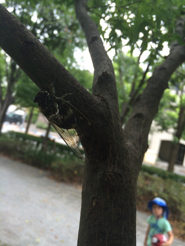 semiIMG_3116.jpg