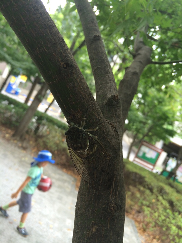semiIMG_3125.jpg